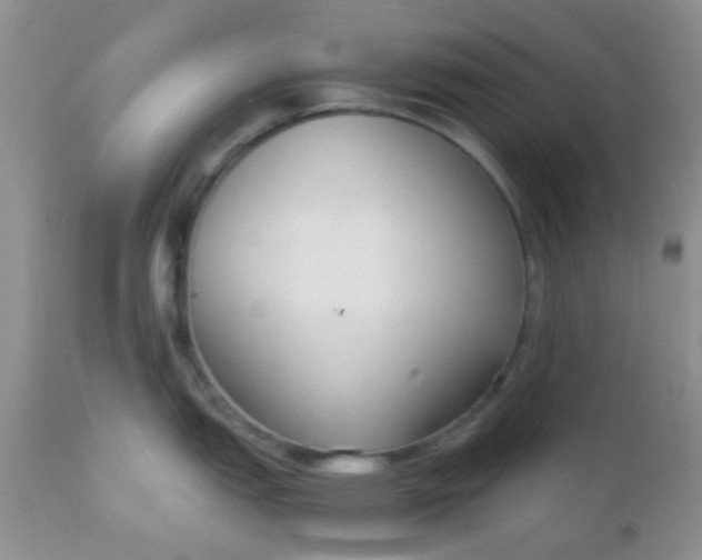 X0000110951151200907022151