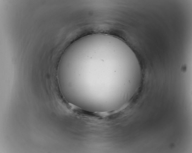 X0000110951153200907022150