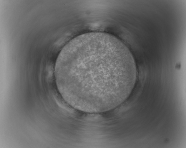 X0000110951154200907022150