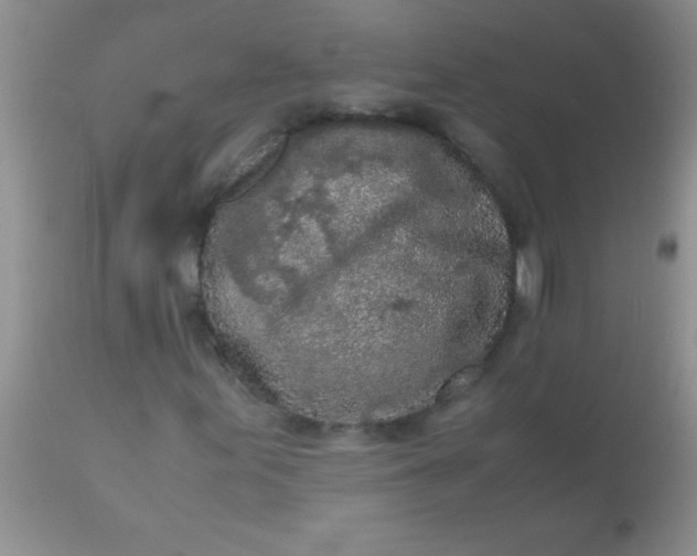 X0000110951155200907022150