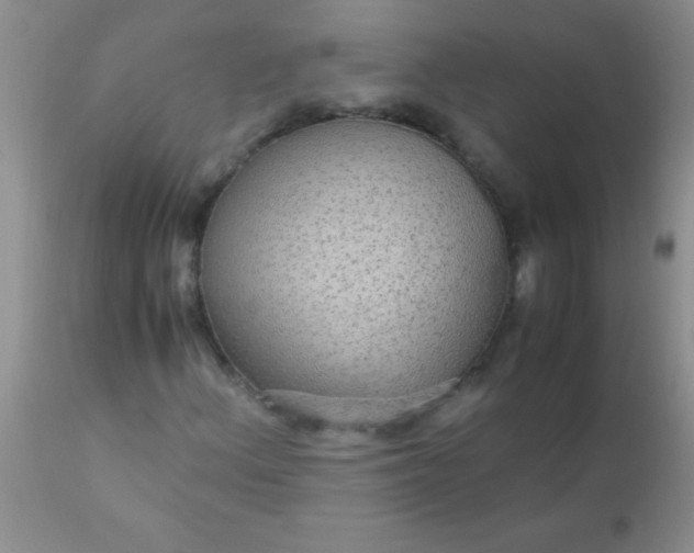 X0000110951156200907022150