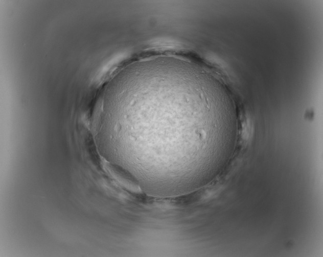 X0000110951157200907022150