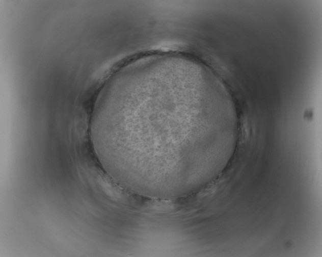 X0000110951158200907022150