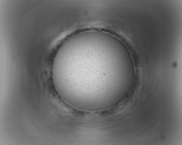 X0000110951159200907022150