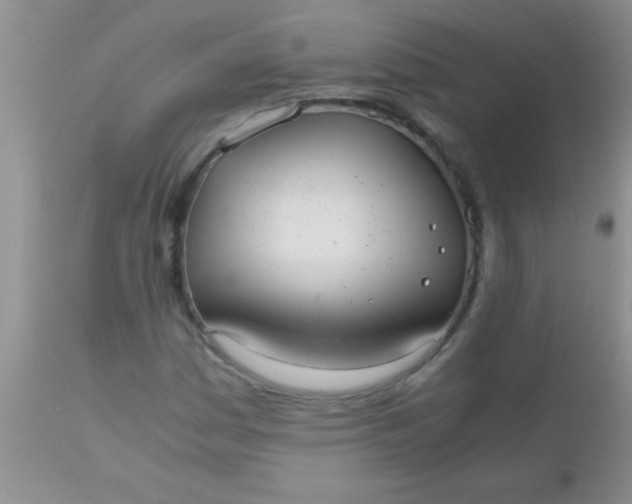 X0000110951161200907022150