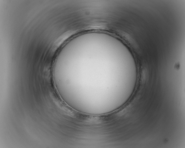 X0000110951162200907022150