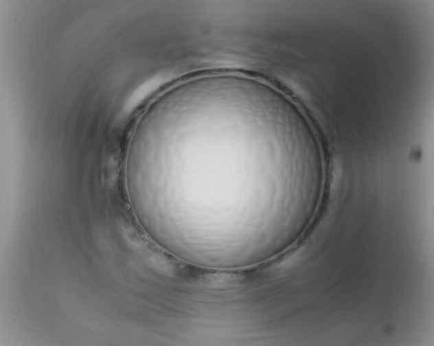 X0000110951163200907022150