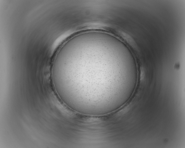 X0000110951164200907022150