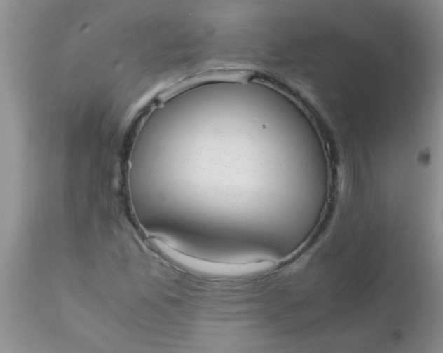 X0000110951165200907022150