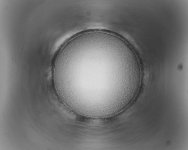 X0000110951167200907022150