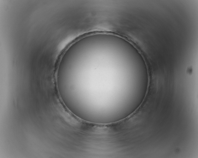 X0000110951168200907022150