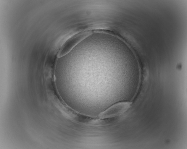 X0000110951169200907022150