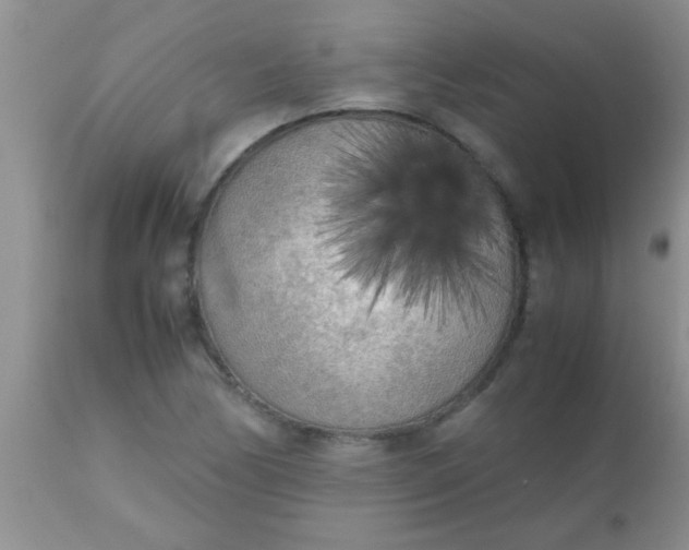 X0000110951170200907022150