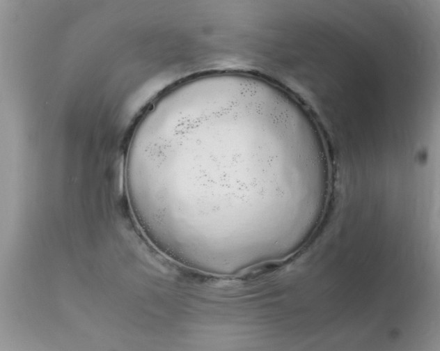 X0000110951171200907022150