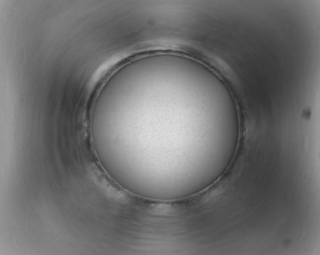 X0000110951172200907022150