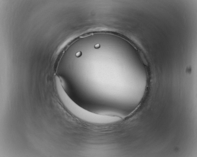 X0000110951173200907022150