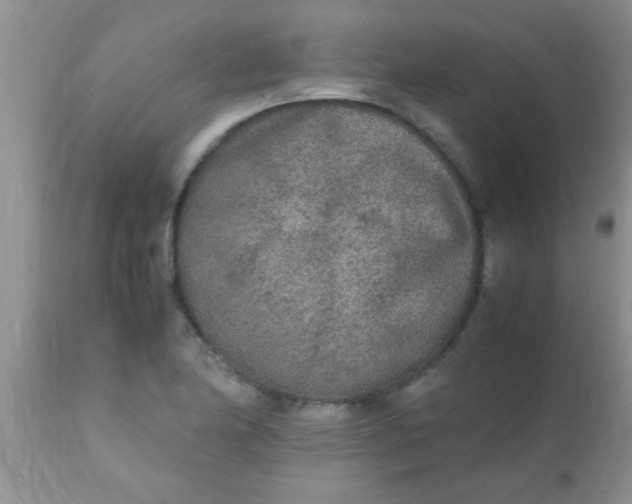 X0000110951174200907022150