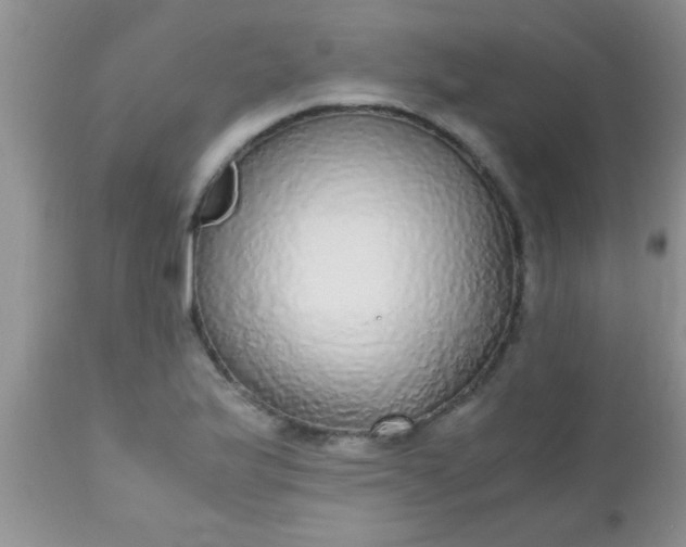 X0000110951175200907022150