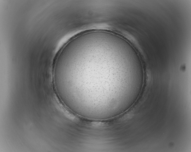 X0000110951176200907022150