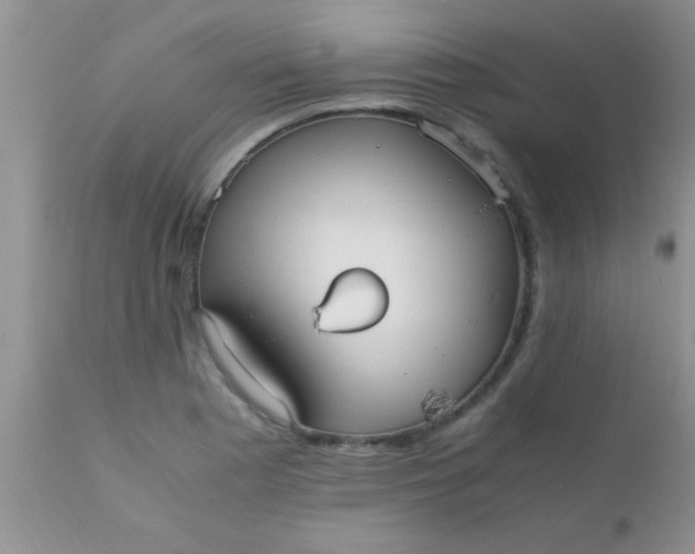 X0000110951177200907022150