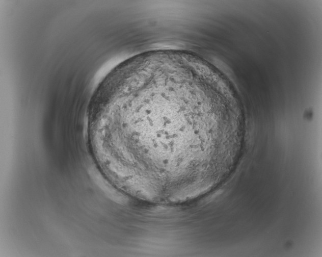 X0000110951179200907022150