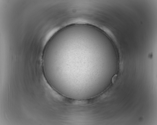 X0000110951183200907022150