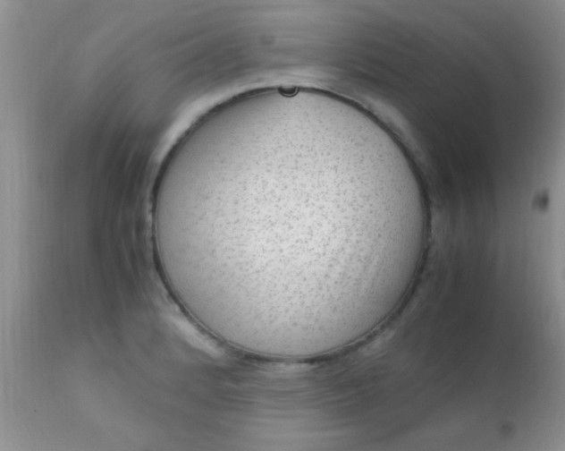 X0000110951184200907022150