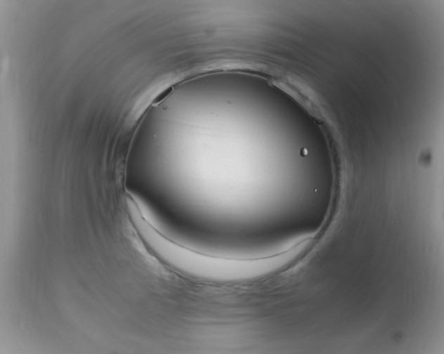 X0000110951185200907022150