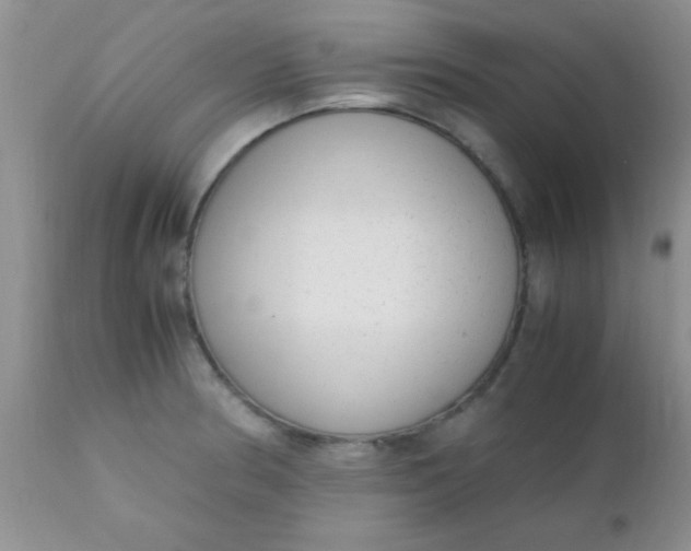 X0000110951186200907022150