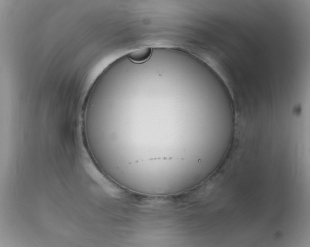 X0000110951187200907022150