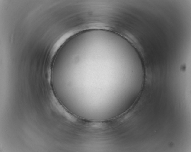 X0000110951188200907022150