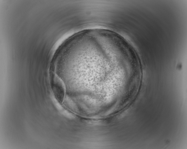 X0000110951189200907022150