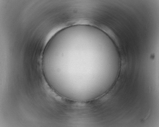 X0000110951190200907022150