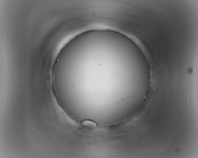 X0000110951191200907022150