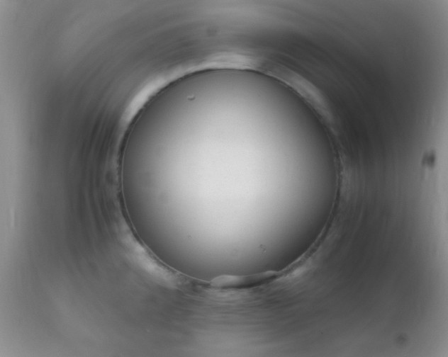 X0000110951192200907022149