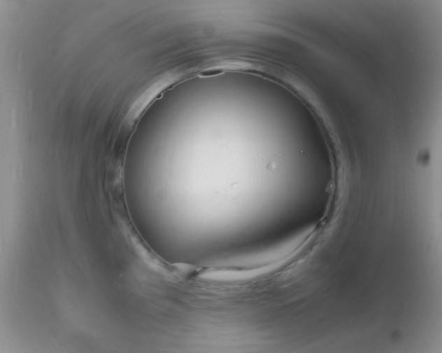 X0000110951193200907022149