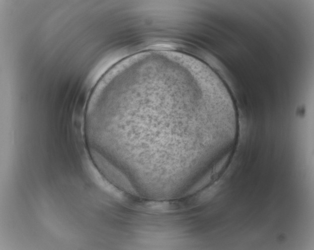 X0000110951194200907022149