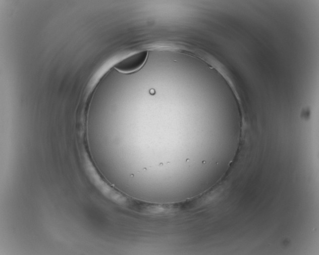 X0000110951195200907022149