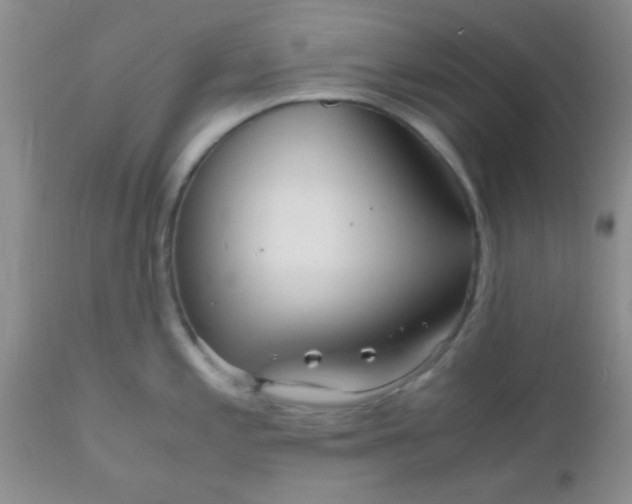 X0000110951197200907022149