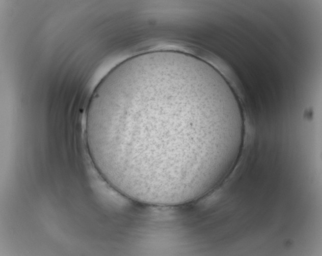 X0000110951198200907022149