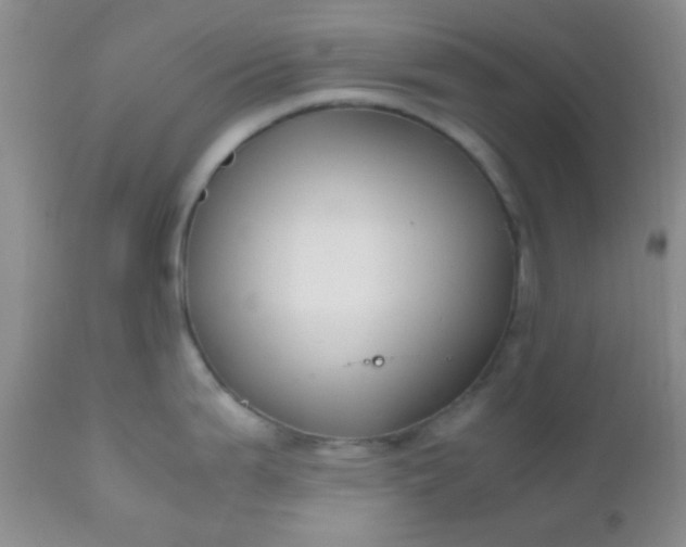 X0000110951199200907022149