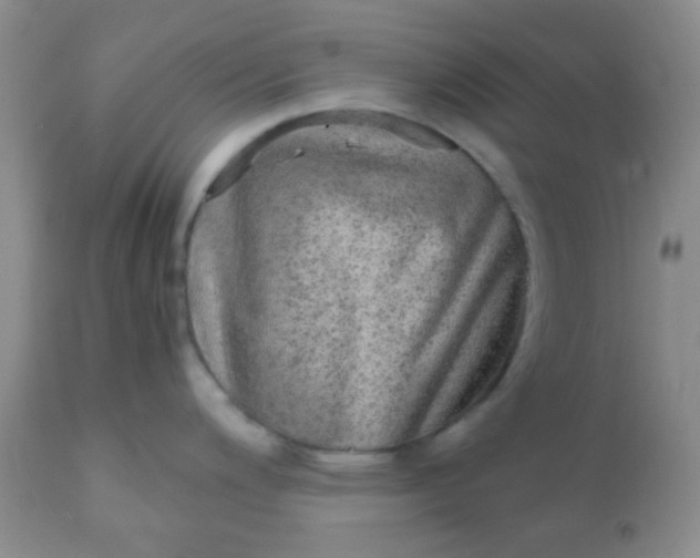 X0000110951200200907022149