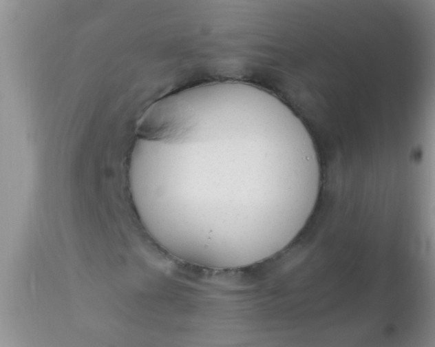 X0000110951201200907022148