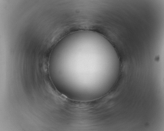 X0000110951202200907022148