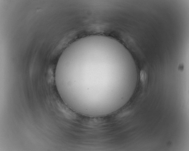 X0000110951203200907022148