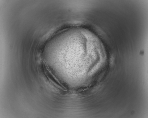 X0000110951204200907022149