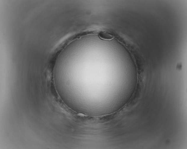 X0000110951206200907022149