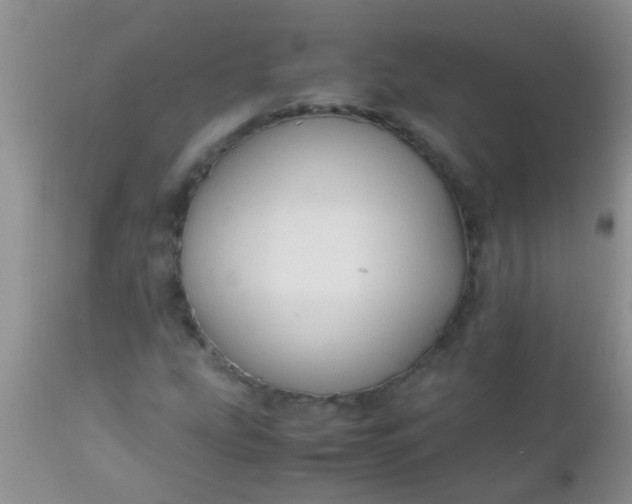 X0000110951207200907022149