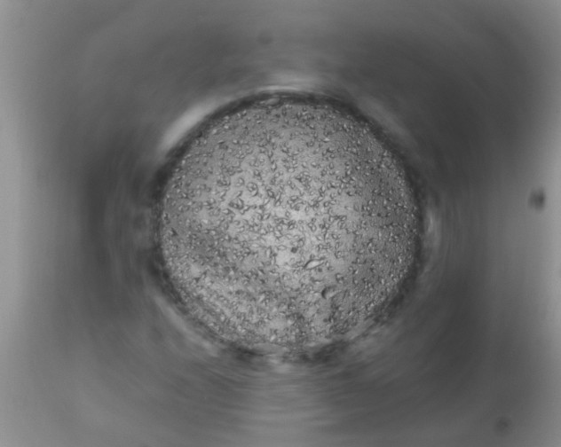 X0000110951208200907022149