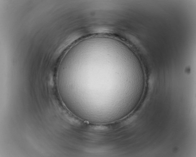 X0000110951209200907022149